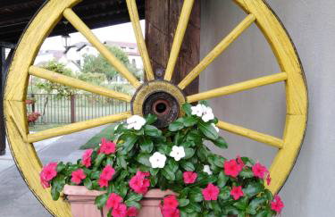 Apartmani MARIN-ŽUPANJA - Foto 68