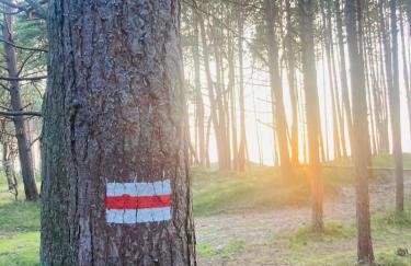 Apartamenty nad morzem Przy Klifie 2 Dębina - Foto 43