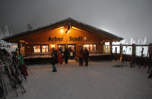 Apartment am Nationalpark Bayerwald - Foto 47