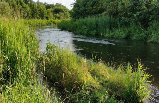 4 Person Holiday Home in Ansager-by Traum - Foto 37