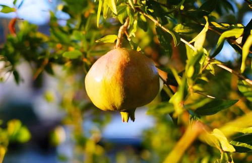 Luna D'Agerola - Foto 70