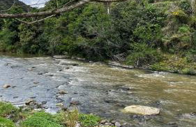 The Valley Cabin - Photo 16