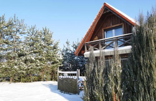 Jeżynowy Domek - Sulistrowice - Photo 29