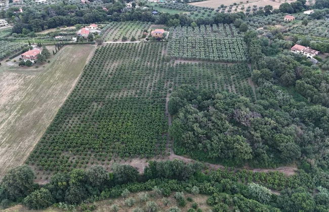 Agriturismo Le Quattro Stagioni - Foto 43