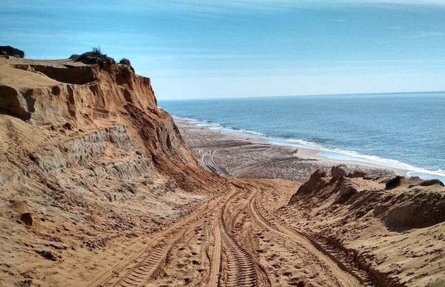 Doñana Day Trip - Foto 13