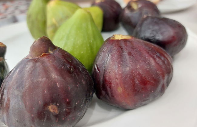 Masseria Trappeto - Foto 26