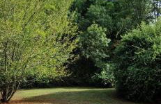 Rivière Retreat - Foto 9