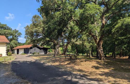 Grande maison avec piscine privée - Foto 5