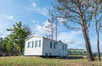 Glamping Frog Farm - Foto 38