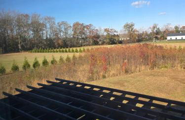 Luxurious Eastern Shore Getaway - Foto 12