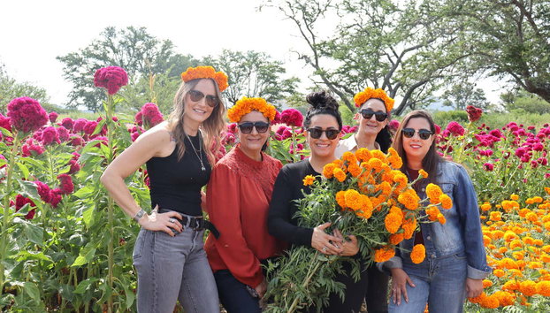 Tour por Oaxaca del Día de Muertos - Foto 4, Una foto con las flores cempasúchil