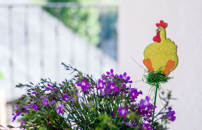 Modern Apartment in Riello with Hot Tub - Foto 16