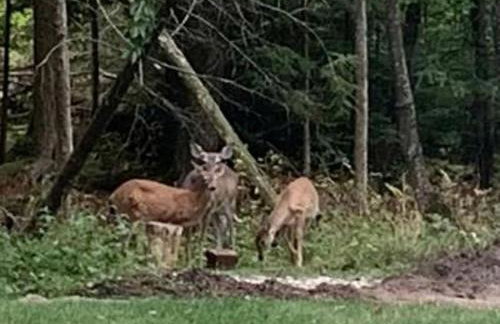 A-Frame Cabin on Lake Michigan - Foto 16