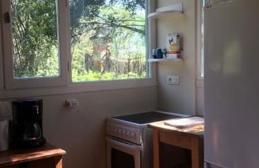 Château Pech-Celeyran - Foto 18