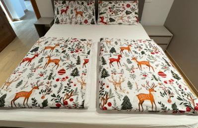 Ciasa Enrico - Foto 15