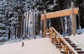 Ale 1206, Marilleva 1400 accesso diretto alle piste - Foto 52