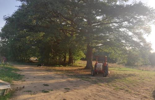 La Glane at Le Maingaud - Foto 32