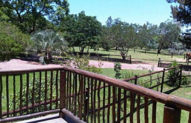 Pine Tree Lodge - Foto 50