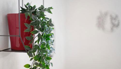 Ferienwohnung aufm Weinberg 0G - Foto 4