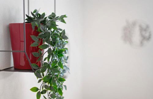 Ferienwohnung aufm Weinberg 0G - Foto 4