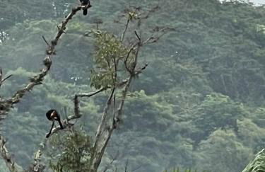 Chácara Saluti - Foto 40