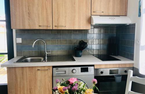 Résidence Clos des Aigrettes -Appartement de charme et confort à 30m du Port de La Cotinière - Foto 8