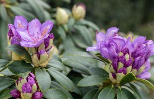 Agriturismo Pozzo Fiorito - Foto 89