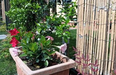 Casa Vacanze Rustico Di Corte - Foto 37