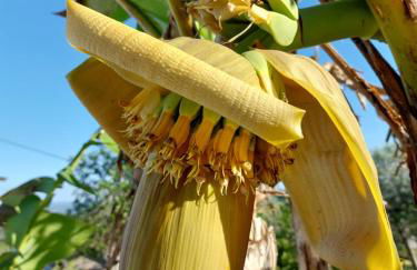 Casa Azul Vales - Foto 22