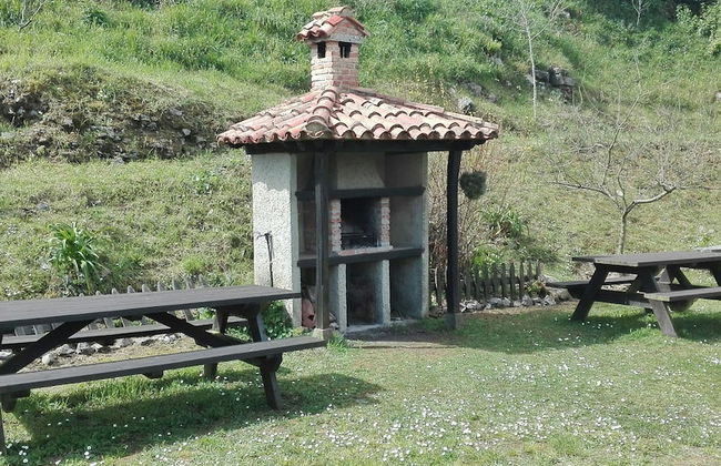 Trisqueles y Buganvillas - Photo 45