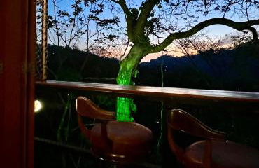 Casa do Alto Santa Mônica- Natureza ao seu redor - Foto 20