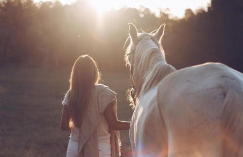 Quinta Do Padrao - Foto 7