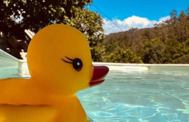 Casa da Quinta Costa D'Além Gerês - Foto 49