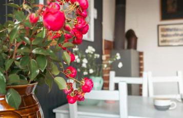 Za Oknem Wierchowa - Foto 6