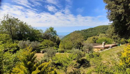 CASA SANT`ANNA DI STAZZEMA - Foto 4