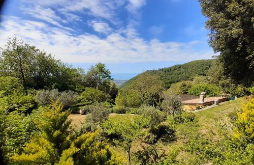 CASA SANT`ANNA DI STAZZEMA - Foto 4