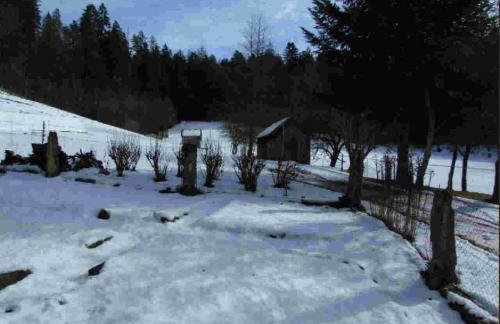 Ferienhaus Schwarzwald Seewald Erzgrube Badesee 100% Natur - Foto 14