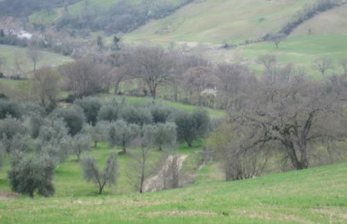 Agriturismo Casa Fibbianello - Foto 41