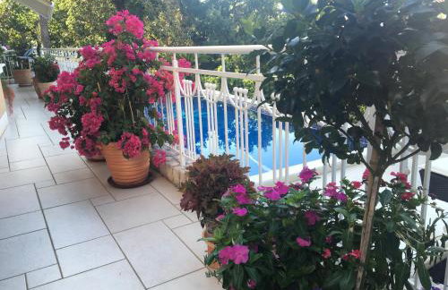 Guest House Villa Dagmar - EXCLUSIVE - Foto 69