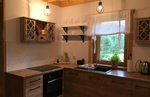 Deluxe Holiday Zdrojowa -Willa typu Alpejskiego w Borach Tucholskich-Całoroczna Balia z jacuzzi-Prywatny las i strumyk -Duża Wiata grillowa - Foto 15