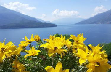 Ca' del Barba - Photo 4