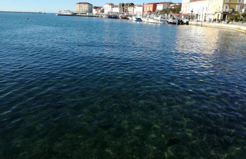 Villa NEVENA POREČ - Photo 62