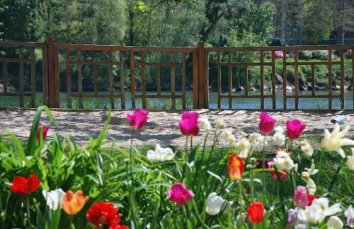 Private 1 bedroom flat with Garden Access in Le Pecq - Foto 13