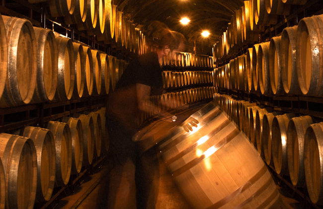 Bodegas Vinícola Real Tour - Photo 1