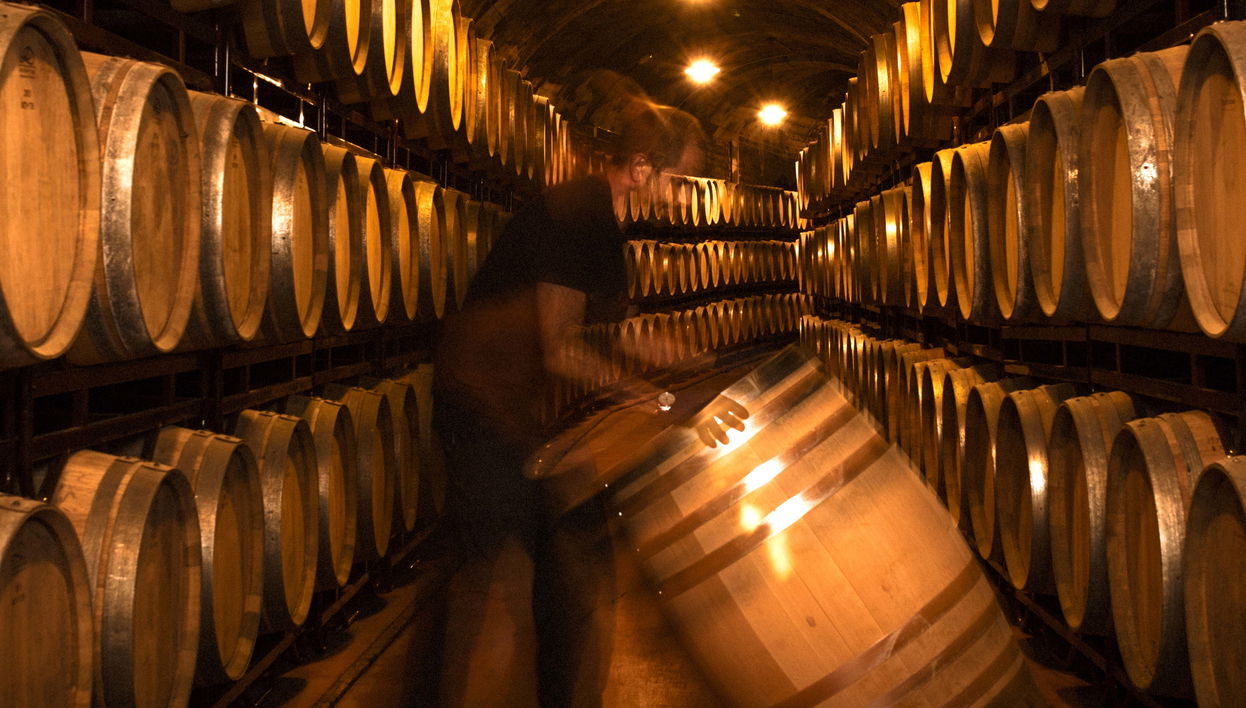 Bodegas Vinícola Real Tour - Foto 1