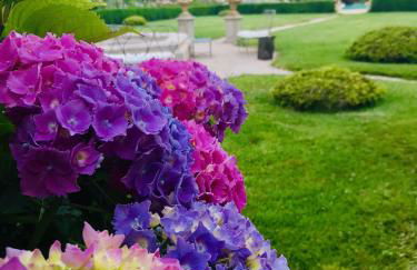 Relais Tenuta del Gallo - Foto 17