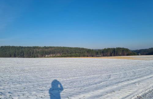 Domek Adam - Jacuzzi dodatkowo płatne - Foto 69