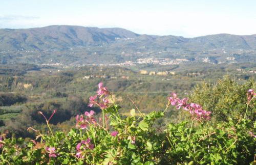 Agriturismo La Capitata - Foto 10