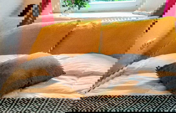 Sandomil Riverbeach Tiny House - Foto 3