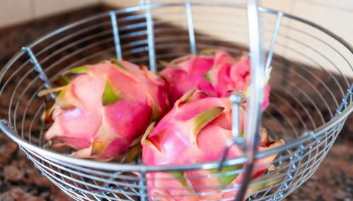 Casita Moscatel - Foto 4